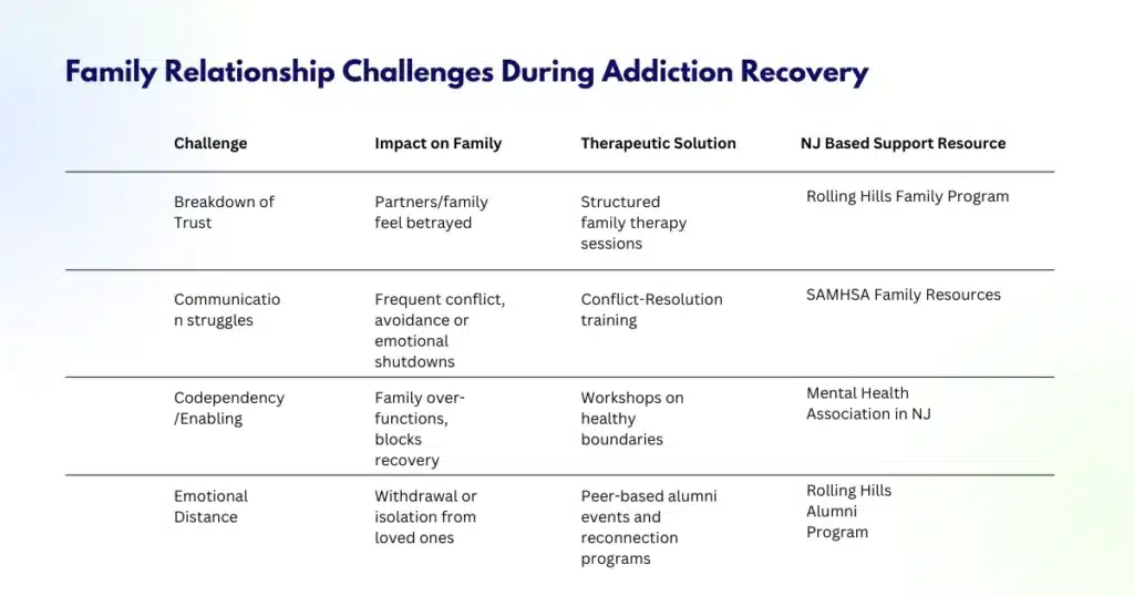 Table of family challenges and solutions.