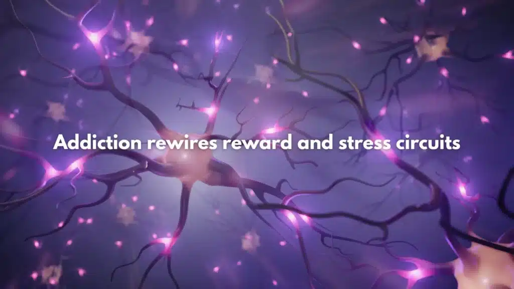 llustration or MRI image of brain neural pathways representing dopamine changes linked to addiction.