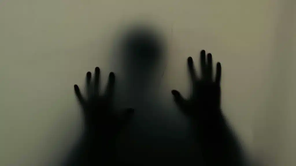 Stock photo of a silhouetted figure with mental health symbols on one side and alcohol imagery on the other, representing co-occurring disorders.