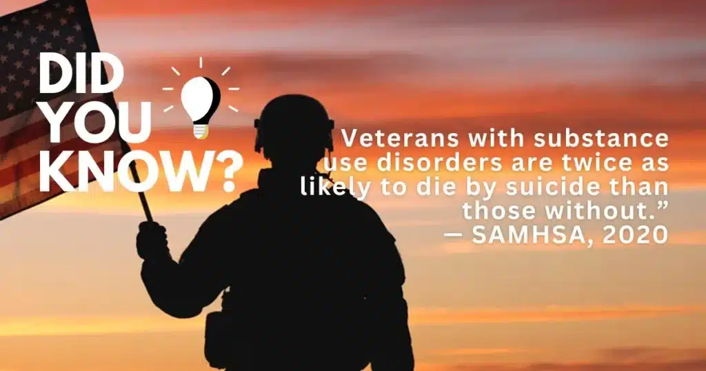 Crisis support graphic for veterans showing suicide prevention hotline and emergency safety plan